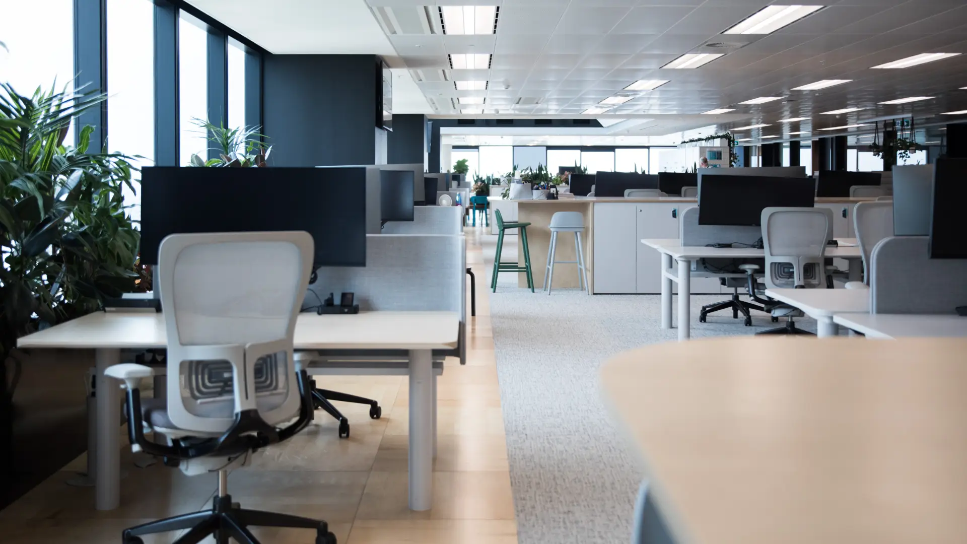 pristine clean office space
